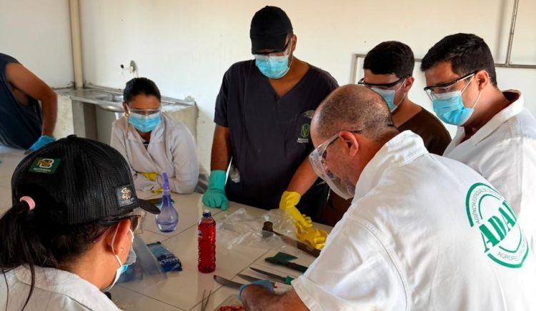 Equipe da Secretaria de Desenvolvimento Rural participa de capacitação para prevenção e controle da raiva e outras doenças no rebanho promovida pela ADAB