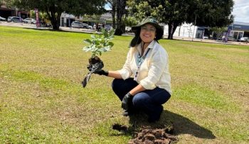Paulo Afonso promove Semana da Sustentabilidade com a&ccedil;&otilde;es de educa&ccedil;&atilde;o ambiental e cuidado com a cidade