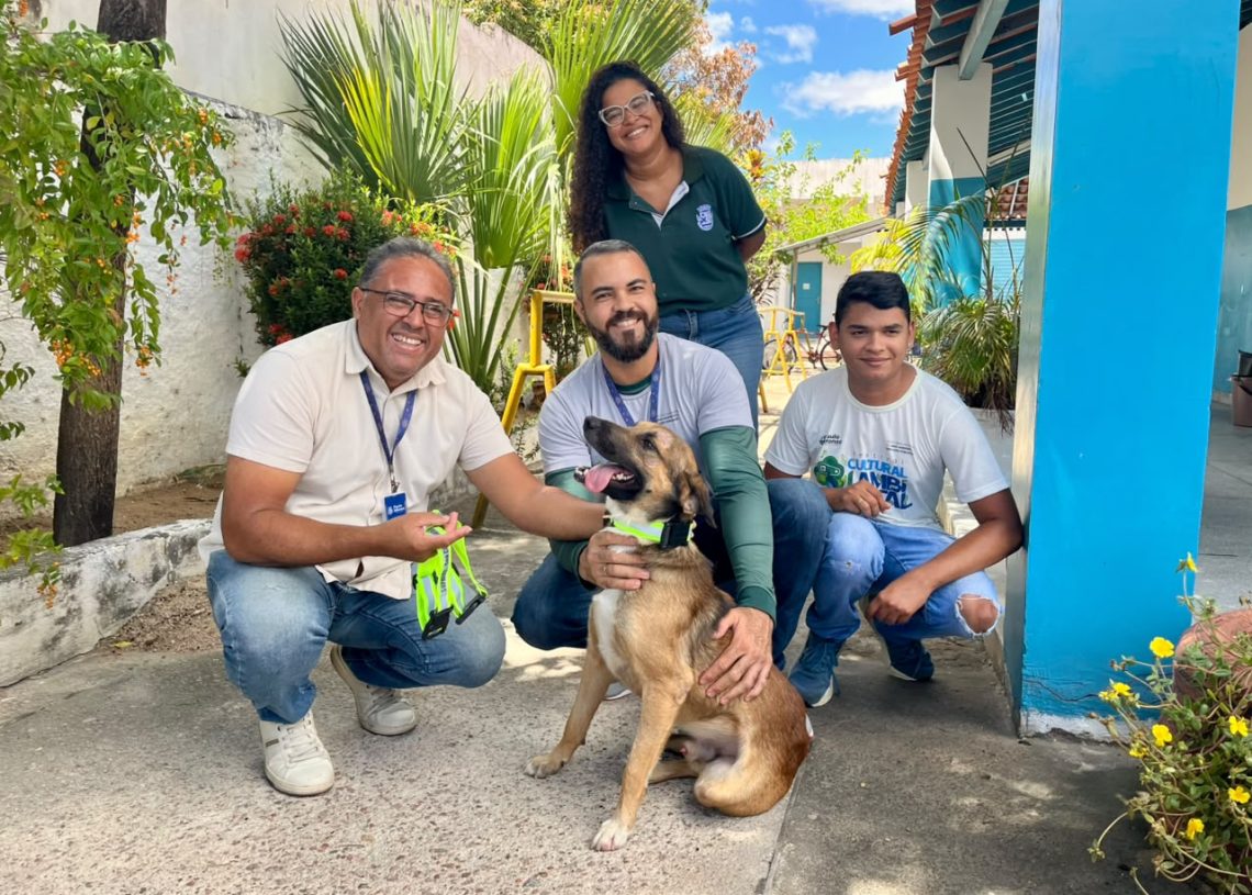 Animais de rua atendidos pela SUPATAS recebem Coleiras Reflexivas em mais uma ação da  prefeitura