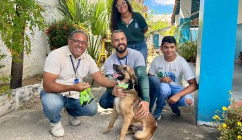 Prefeitura de Paulo Afonso Animais de rua atendidos pela SUPATAS recebem Coleiras Reflexivas em mais uma ação da prefeitura